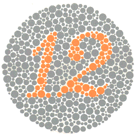 1 renk korlugu testi 1