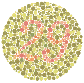 11 renk korlugu testi 1