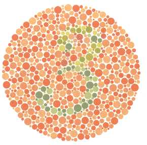 13 renk korlugu testi 1