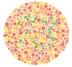 5 renk korlugu testi 1