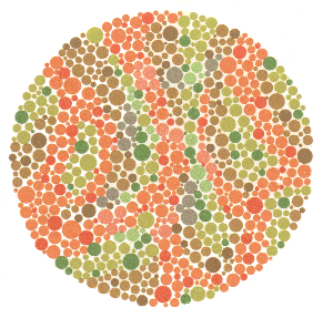 6 renk korlugu testi 1