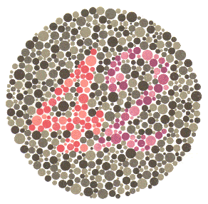 8 renk korlugu testi 1