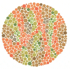 10 renk korlugu testi 1